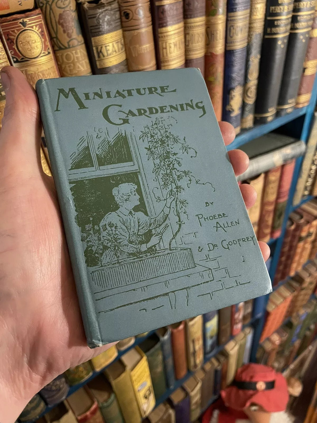 1900 On Miniature and Window Gardening : Allen & Godfrey : Antique Book