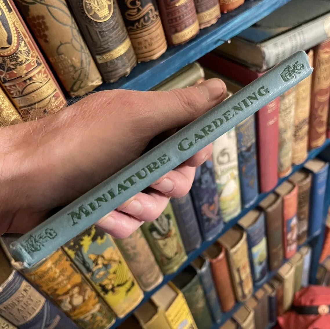 1900 On Miniature and Window Gardening : Allen & Godfrey : Antique Book