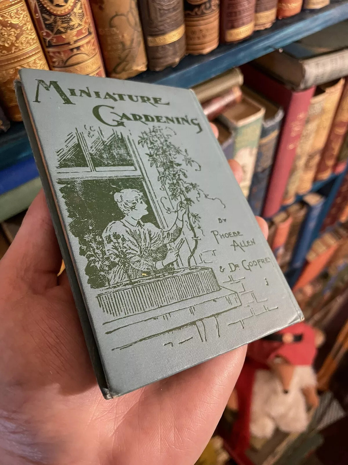 1900 On Miniature and Window Gardening : Allen & Godfrey : Antique Book