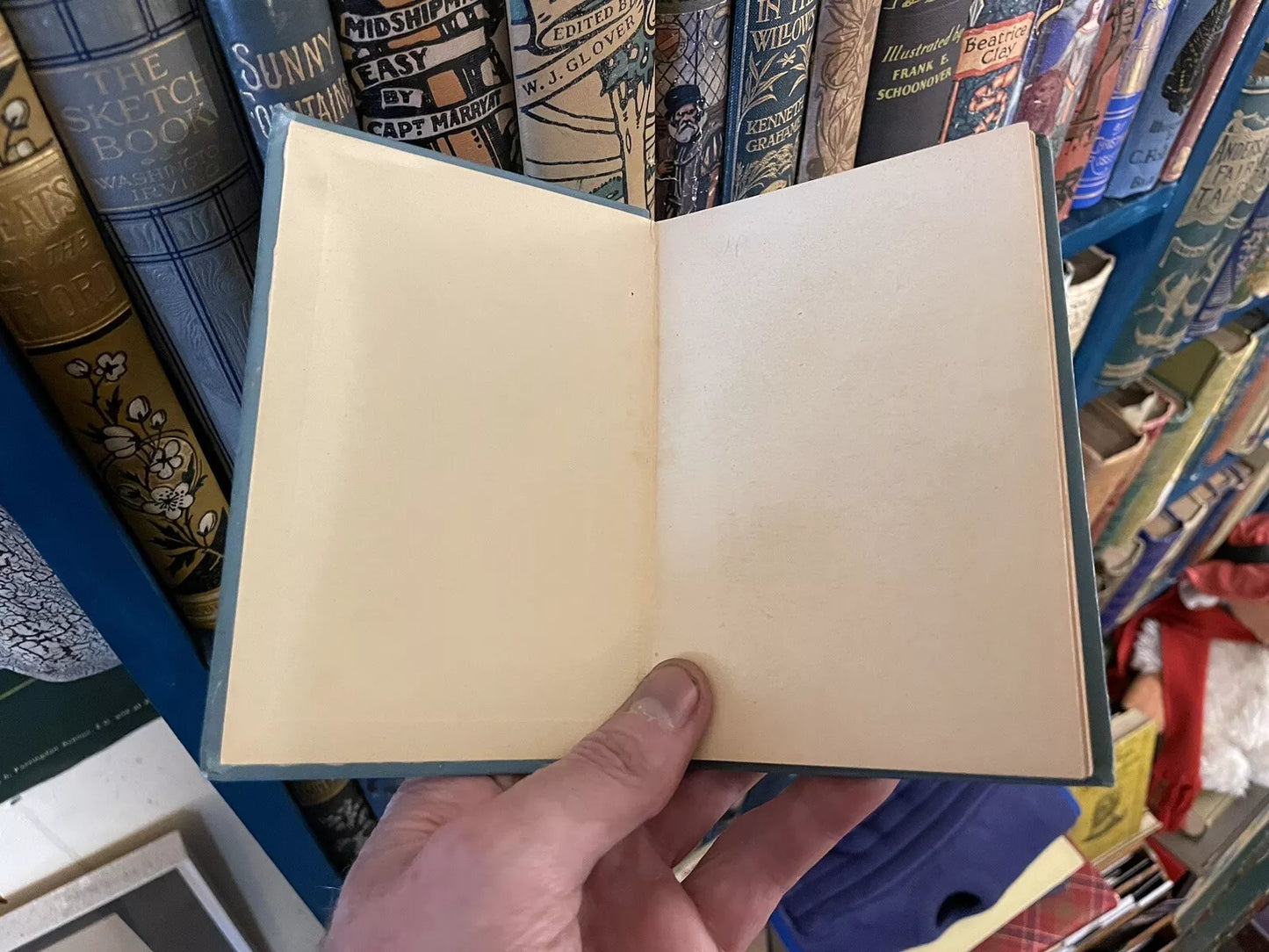 1900 On Miniature and Window Gardening : Allen & Godfrey : Antique Book