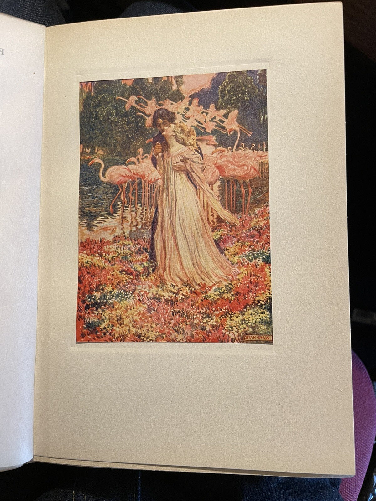 Selected Tales of Mystery by Edgar Allan Poe 1909 illustrated by Byam Shaw