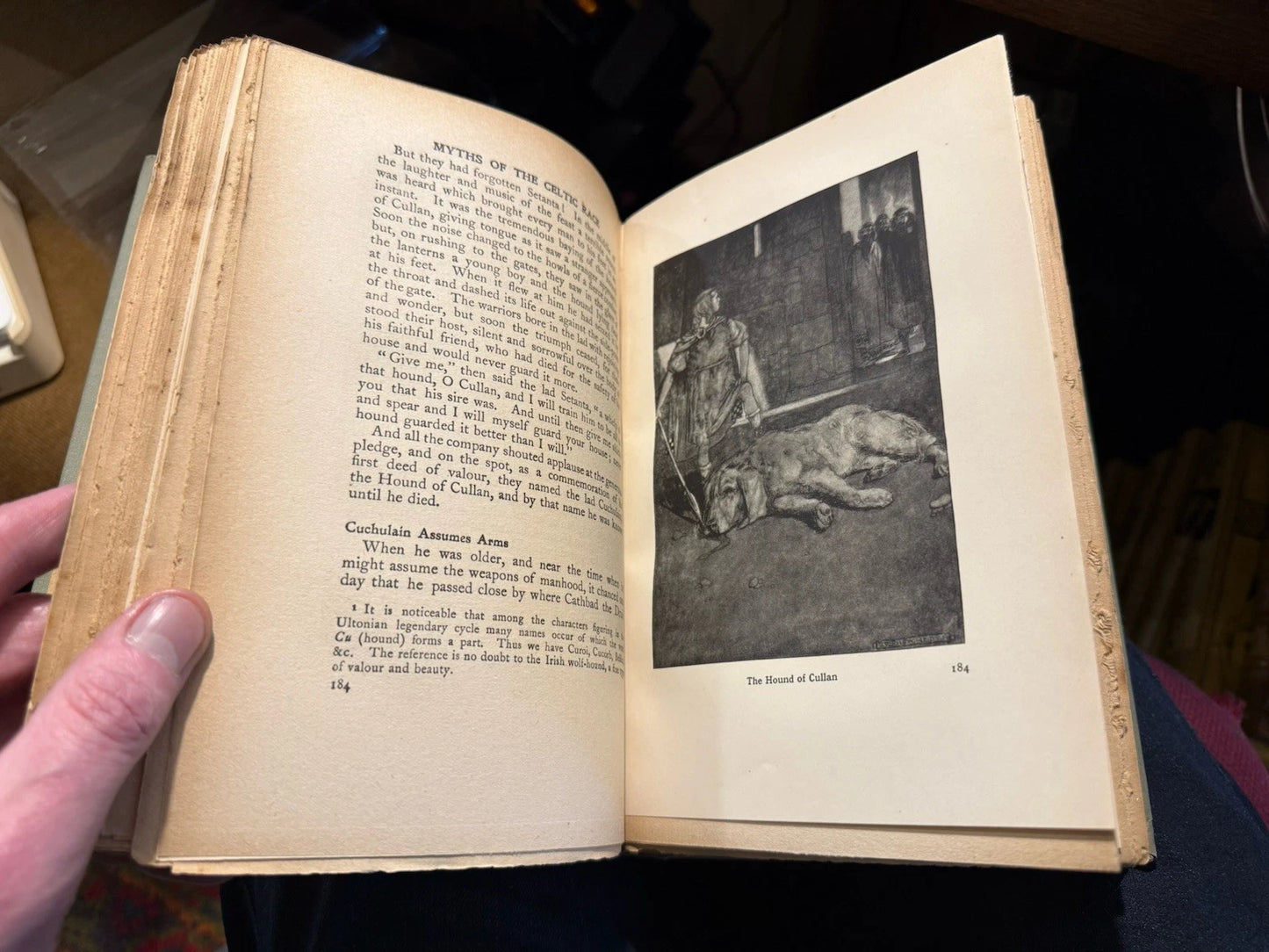 1917 Myths and Legends of the Celtic Race : T W Rolleston : History