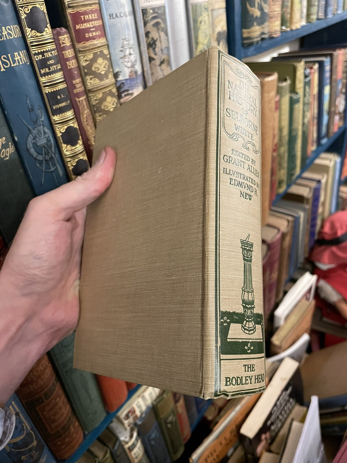 1900 Gilbert White : Natural History of Selborne : Illus by Edmund H. New