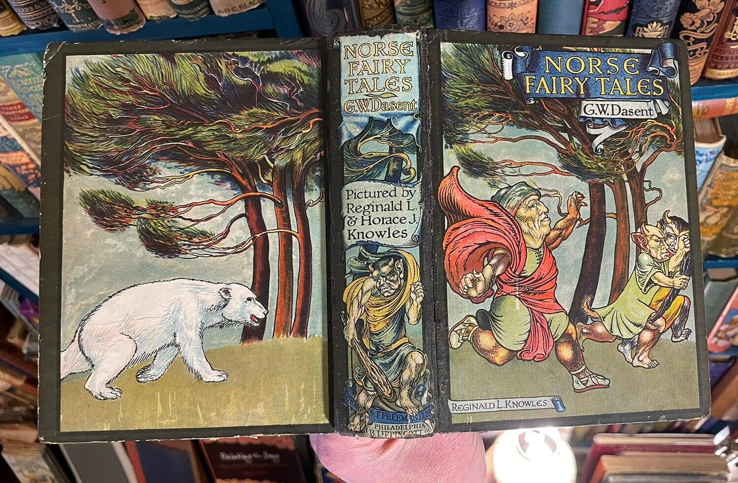 Norse Fairy Tales : G. W. Dasent : Colour Plates : Pictorial Binding 1910