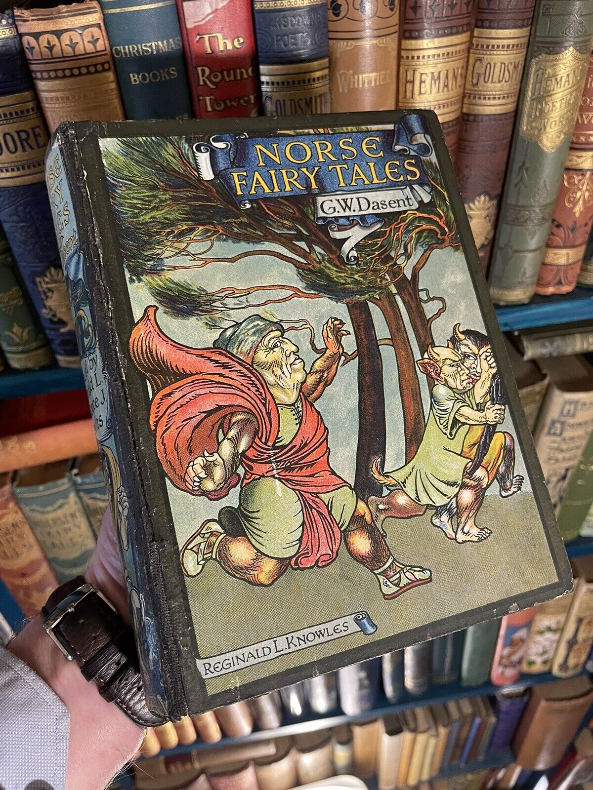 Norse Fairy Tales : G. W. Dasent : Colour Plates : Pictorial Binding 1910