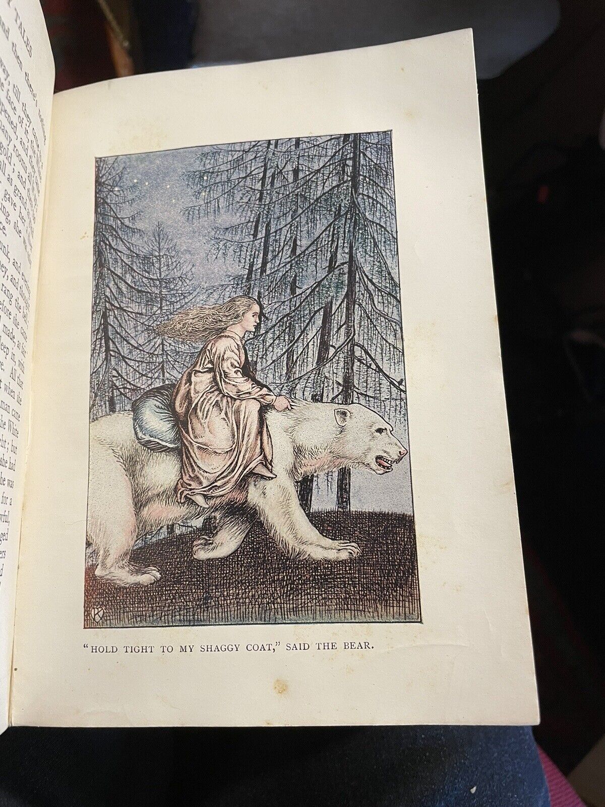 Norse Fairy Tales : G. W. Dasent : Colour Plates : Pictorial Binding 1910