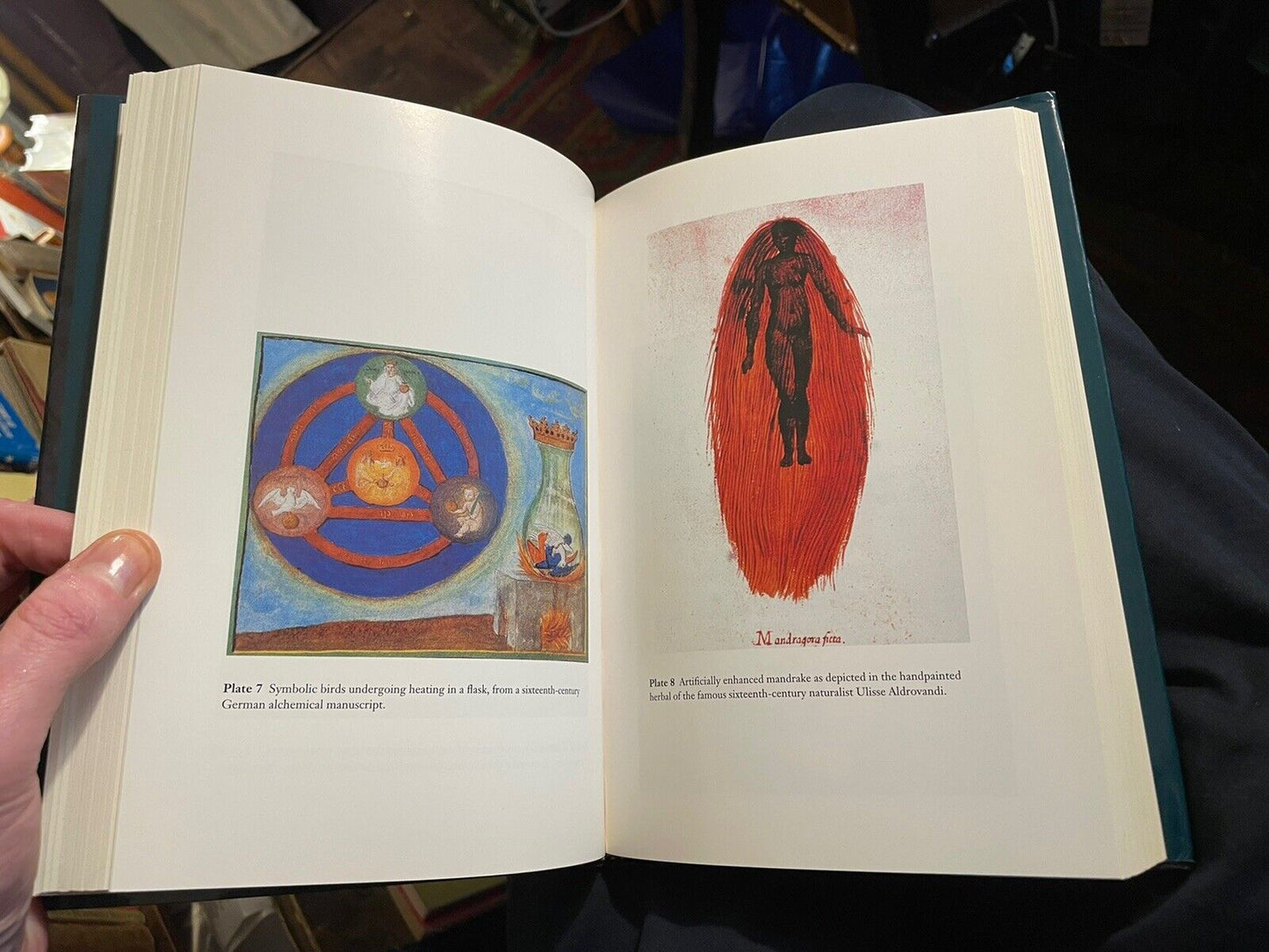 Promethean Ambitions : Alchemy & the Quest to Perfect Nature : William R. Newman