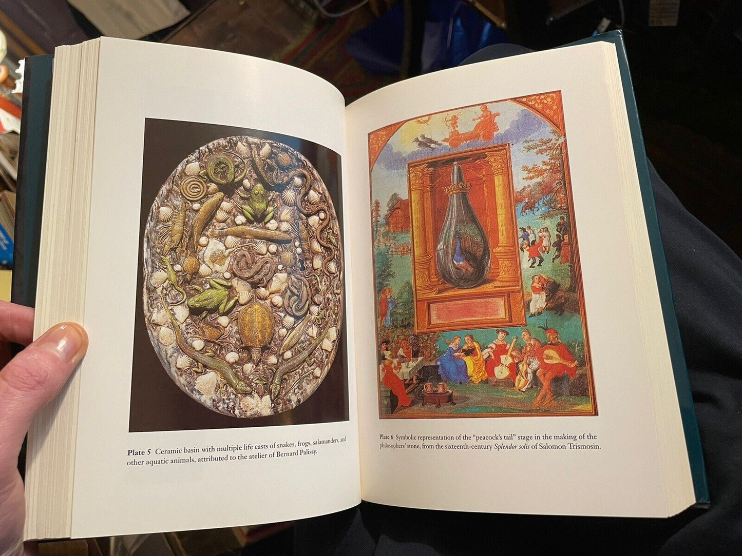 Promethean Ambitions : Alchemy & the Quest to Perfect Nature : William R. Newman