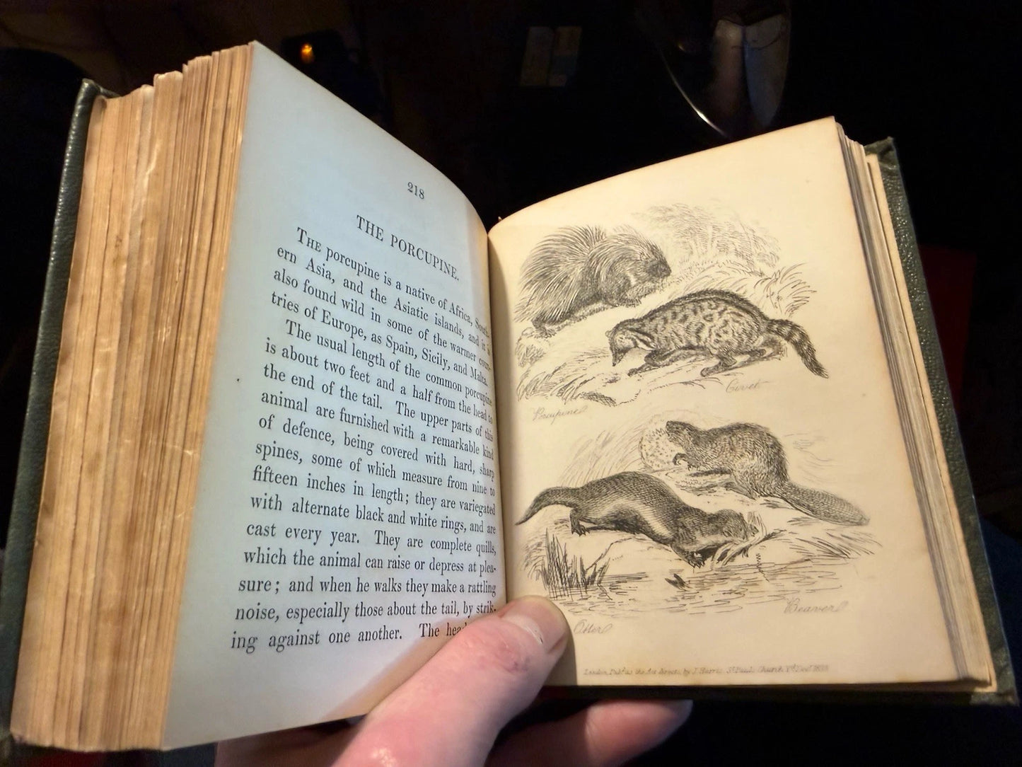 1834 Natural History of Quadrupeds : Part II : Thomas Landseer : Natural History