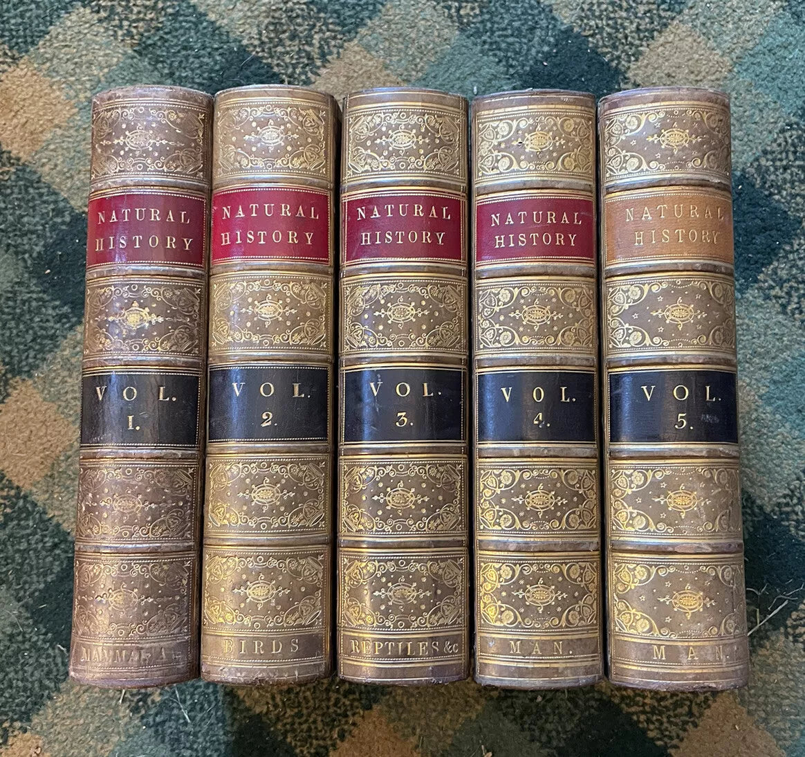 J G Wood : The Illustrated Natural History (5 Volumes) Australia : Leather Set