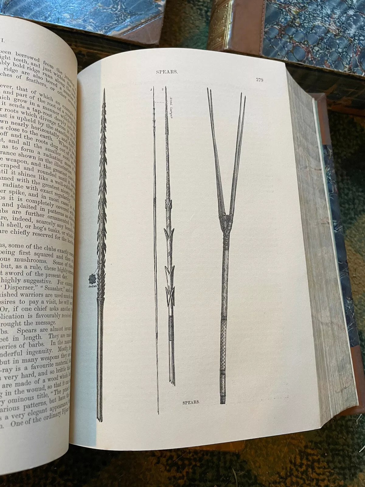J G Wood : The Illustrated Natural History (5 Volumes) Australia : Leather Set