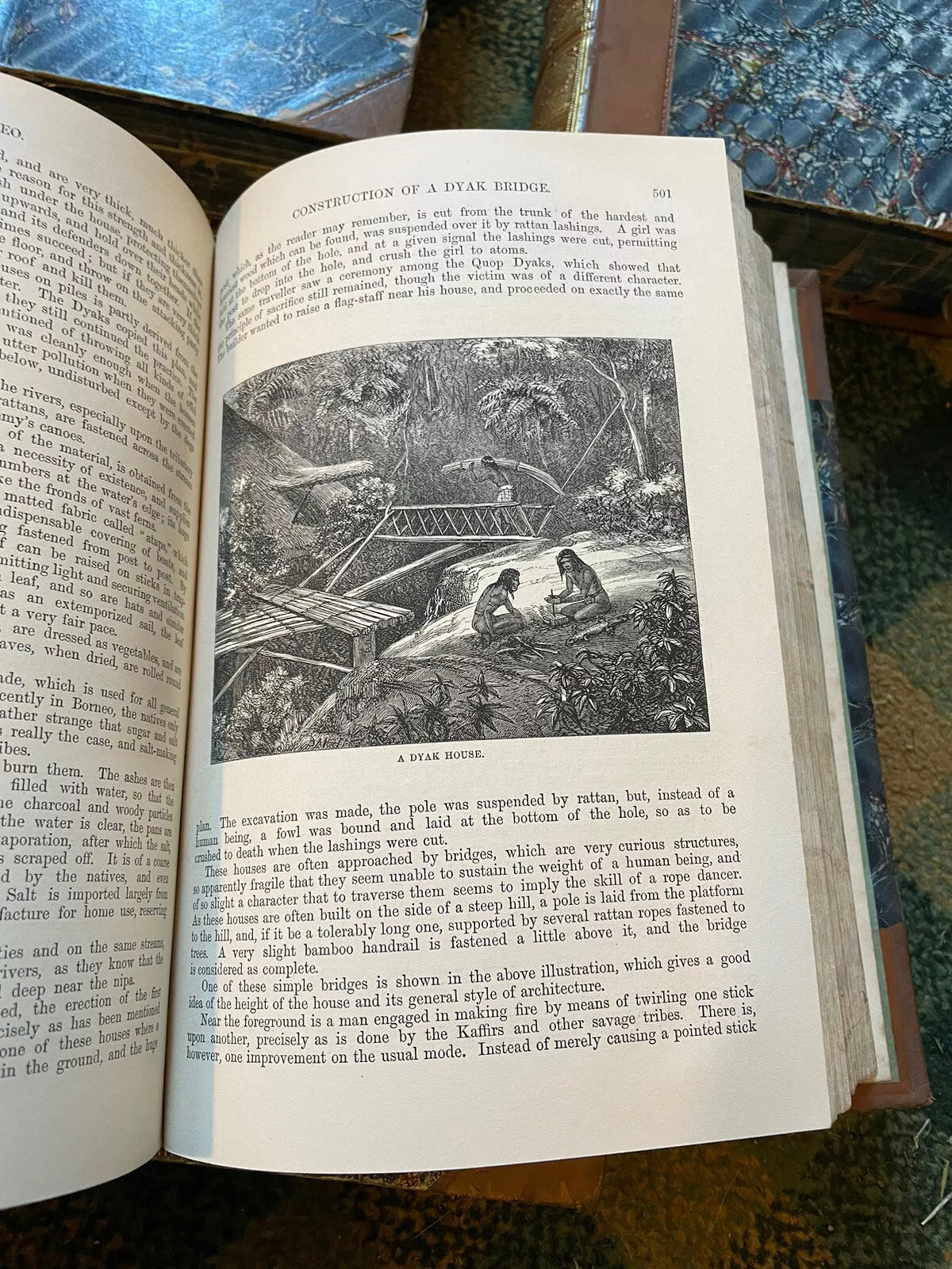 J G Wood : The Illustrated Natural History (5 Volumes) Australia : Leather Set
