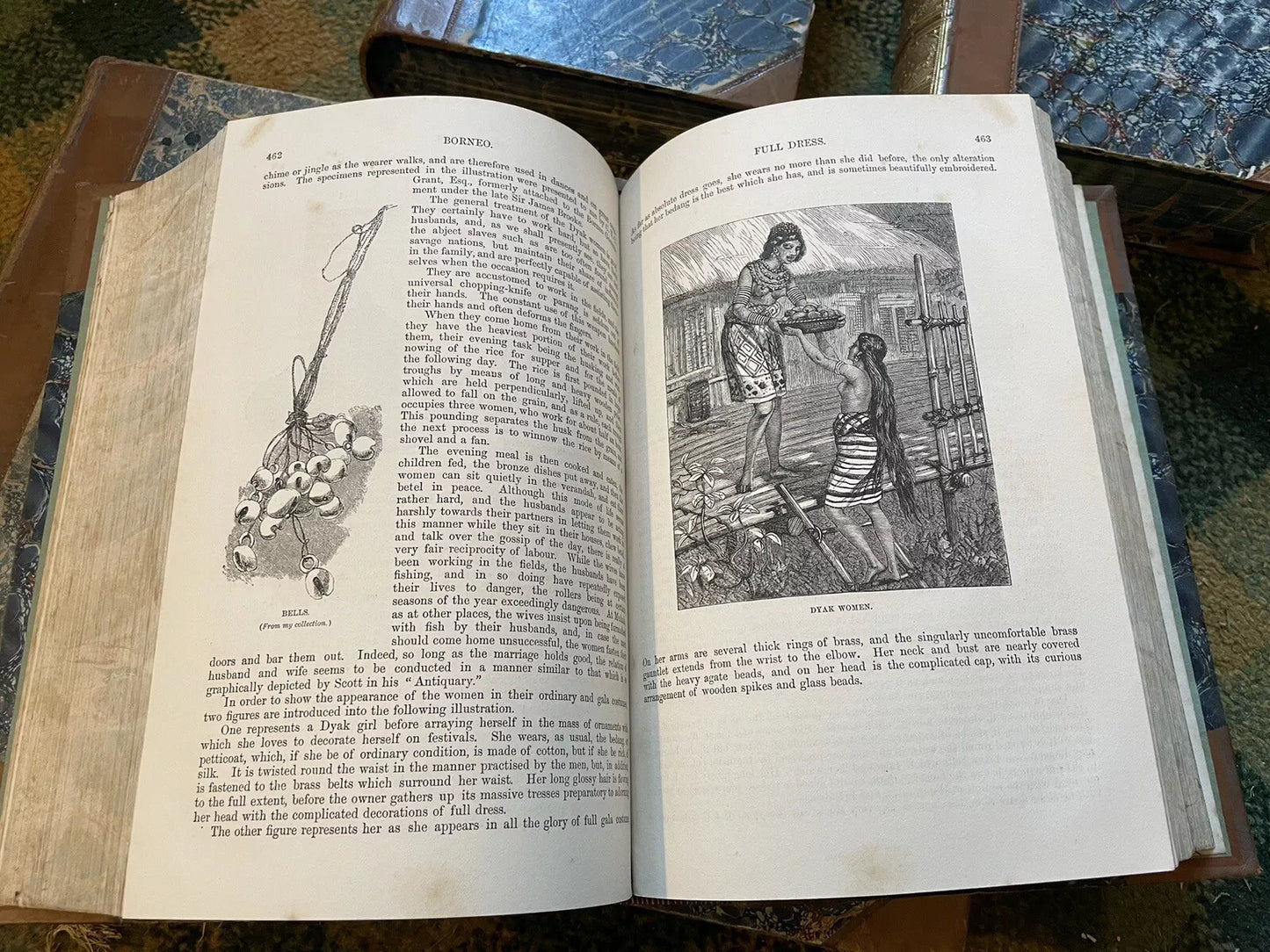 J G Wood : The Illustrated Natural History (5 Volumes) Australia : Leather Set