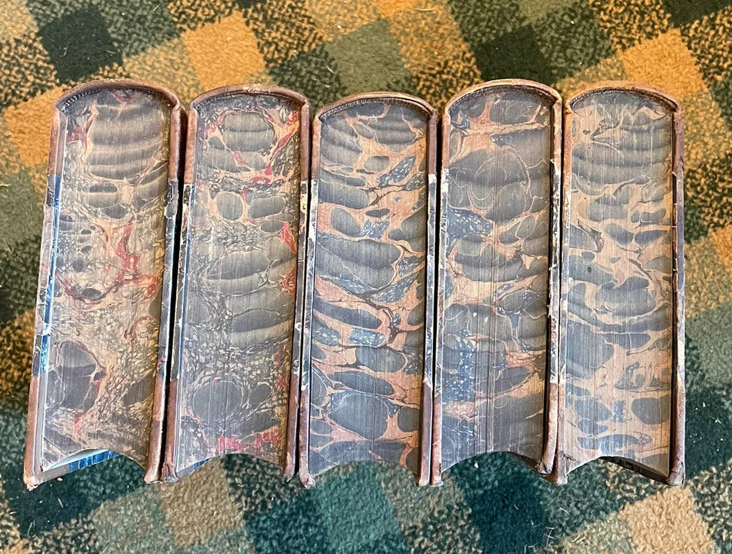 J G Wood : The Illustrated Natural History (5 Volumes) Australia : Leather Set