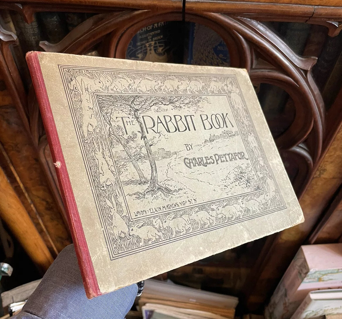 c1890 The Rabbit Book : Charles R. Pettafor : Late Victorian Children's Book