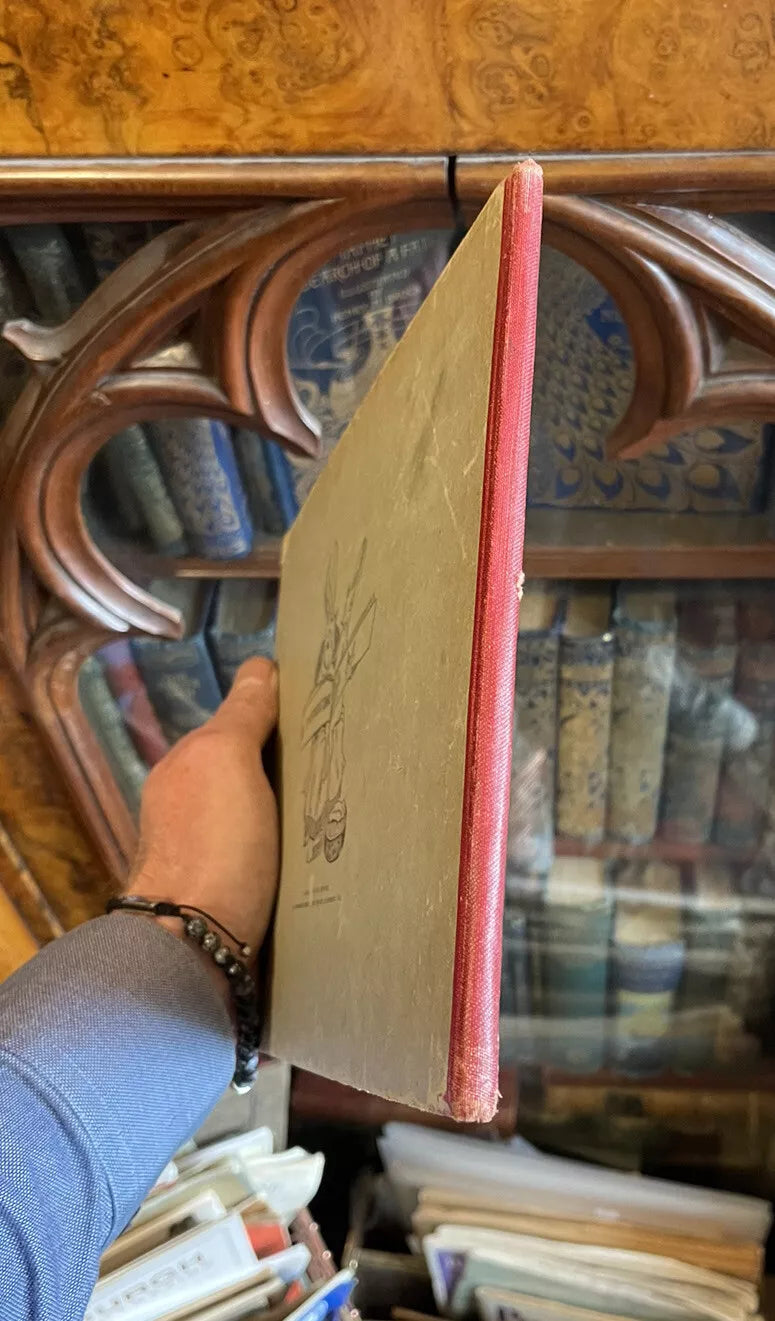 c1890 The Rabbit Book : Charles R. Pettafor : Late Victorian Children's Book