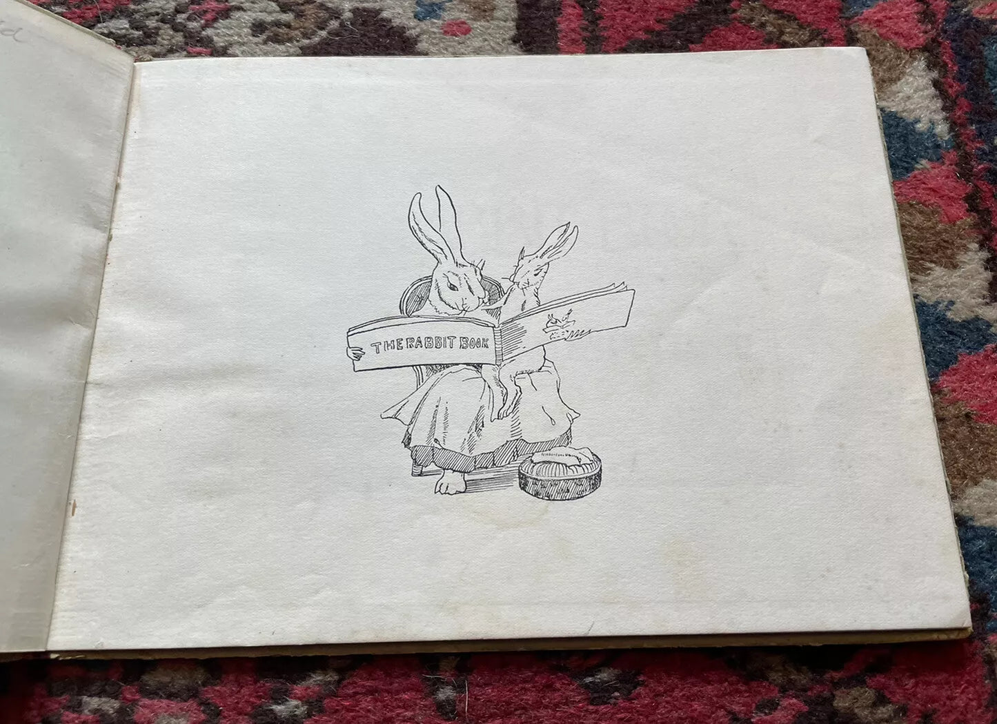 c1890 The Rabbit Book : Charles R. Pettafor : Late Victorian Children's Book