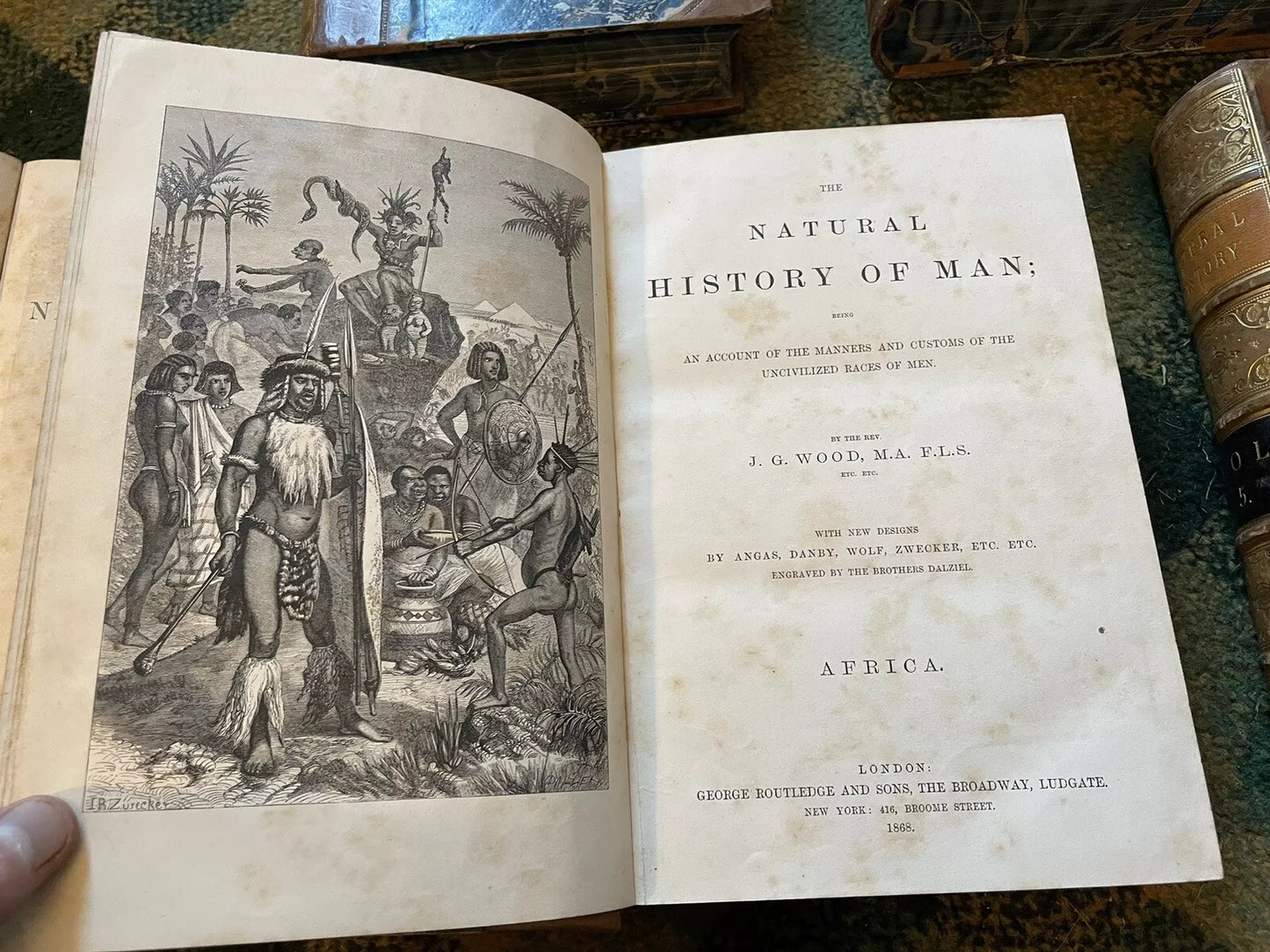 J G Wood : The Illustrated Natural History (5 Volumes) Australia : Leather Set