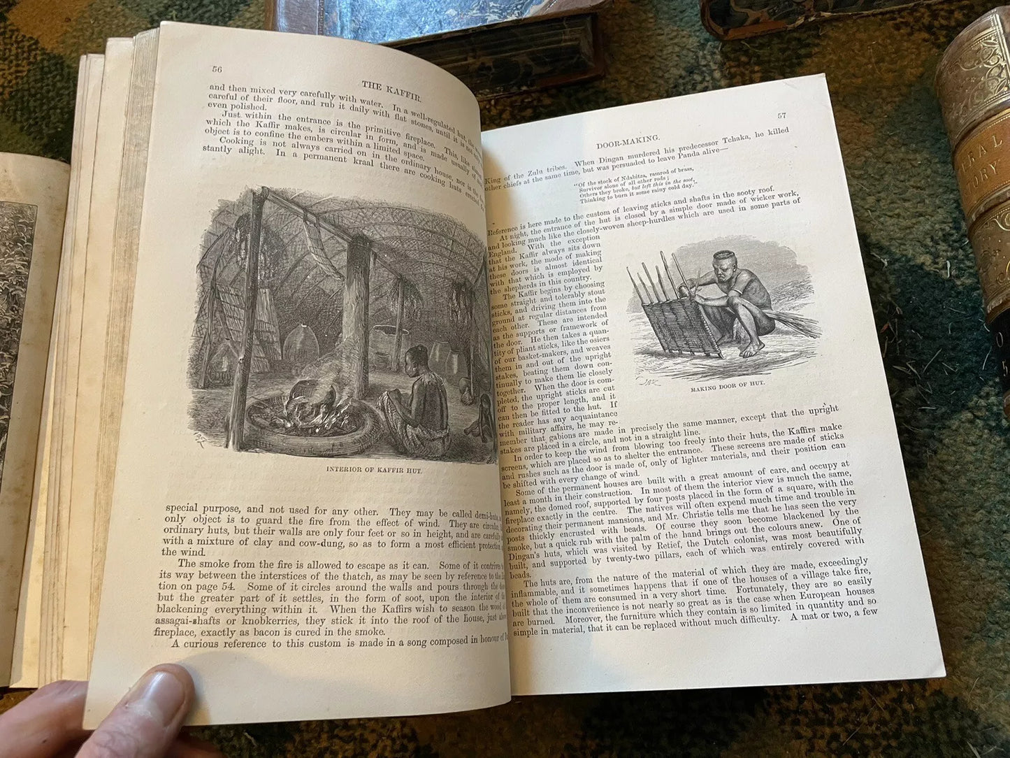 J G Wood : The Illustrated Natural History (5 Volumes) Australia : Leather Set