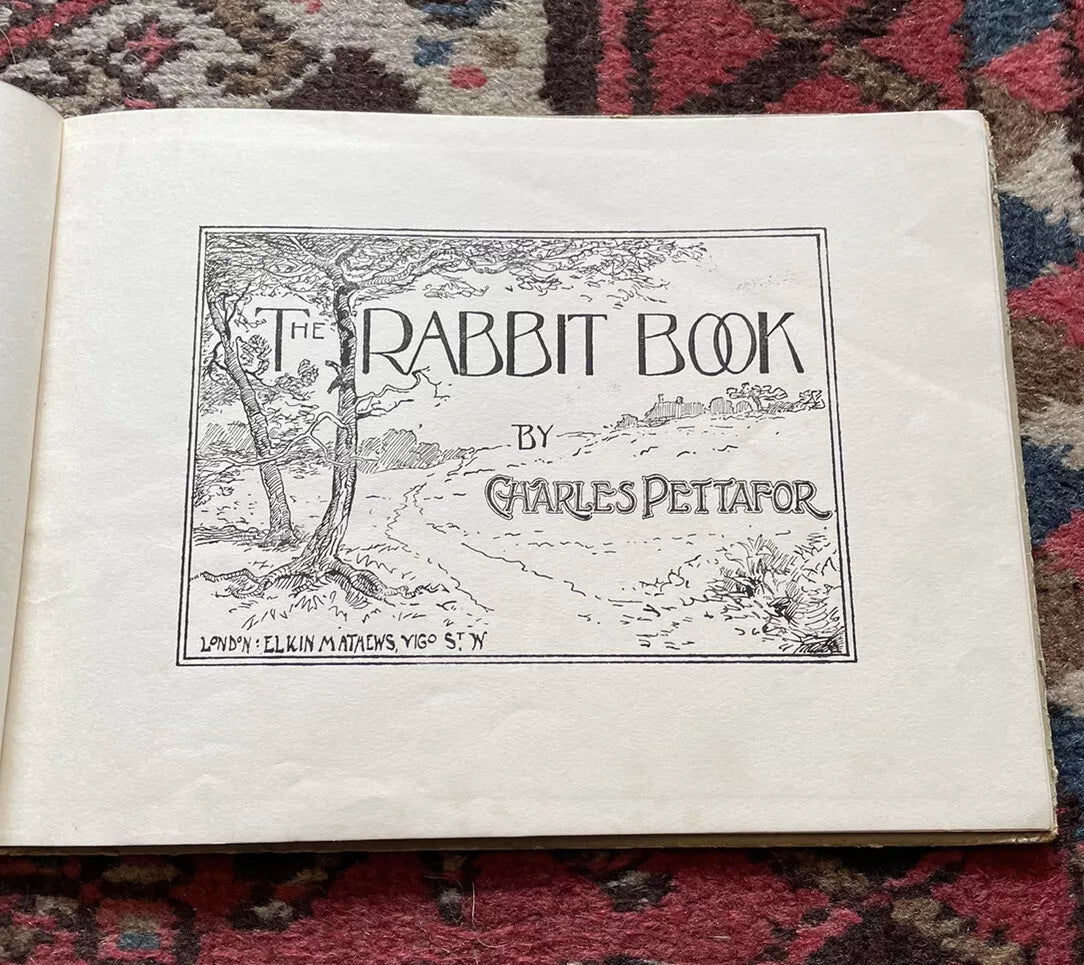 c1890 The Rabbit Book : Charles R. Pettafor : Late Victorian Children's Book