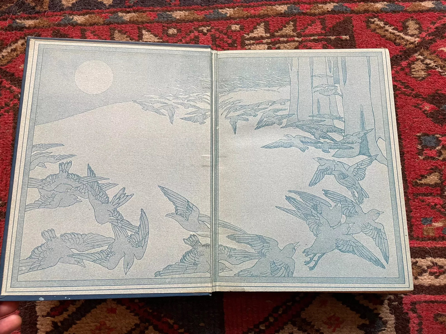 1912 The Blue Bird : A Fairy Play : Maurice Maeterlinck Colour Illus by Robinson