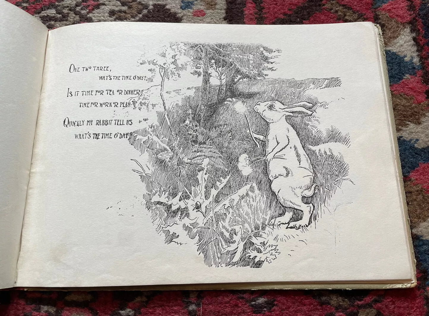 c1890 The Rabbit Book : Charles R. Pettafor : Late Victorian Children's Book