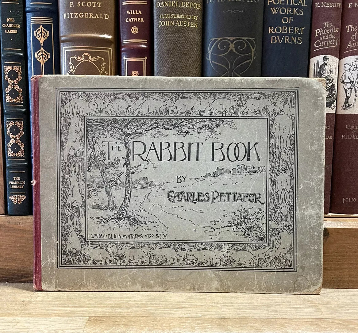 c1890 The Rabbit Book : Charles R. Pettafor : Late Victorian Children's Book