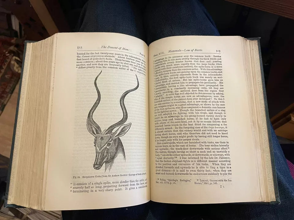 1890 Charles Darwin : The Descent of Man and Selection in Relation to Sex VGC