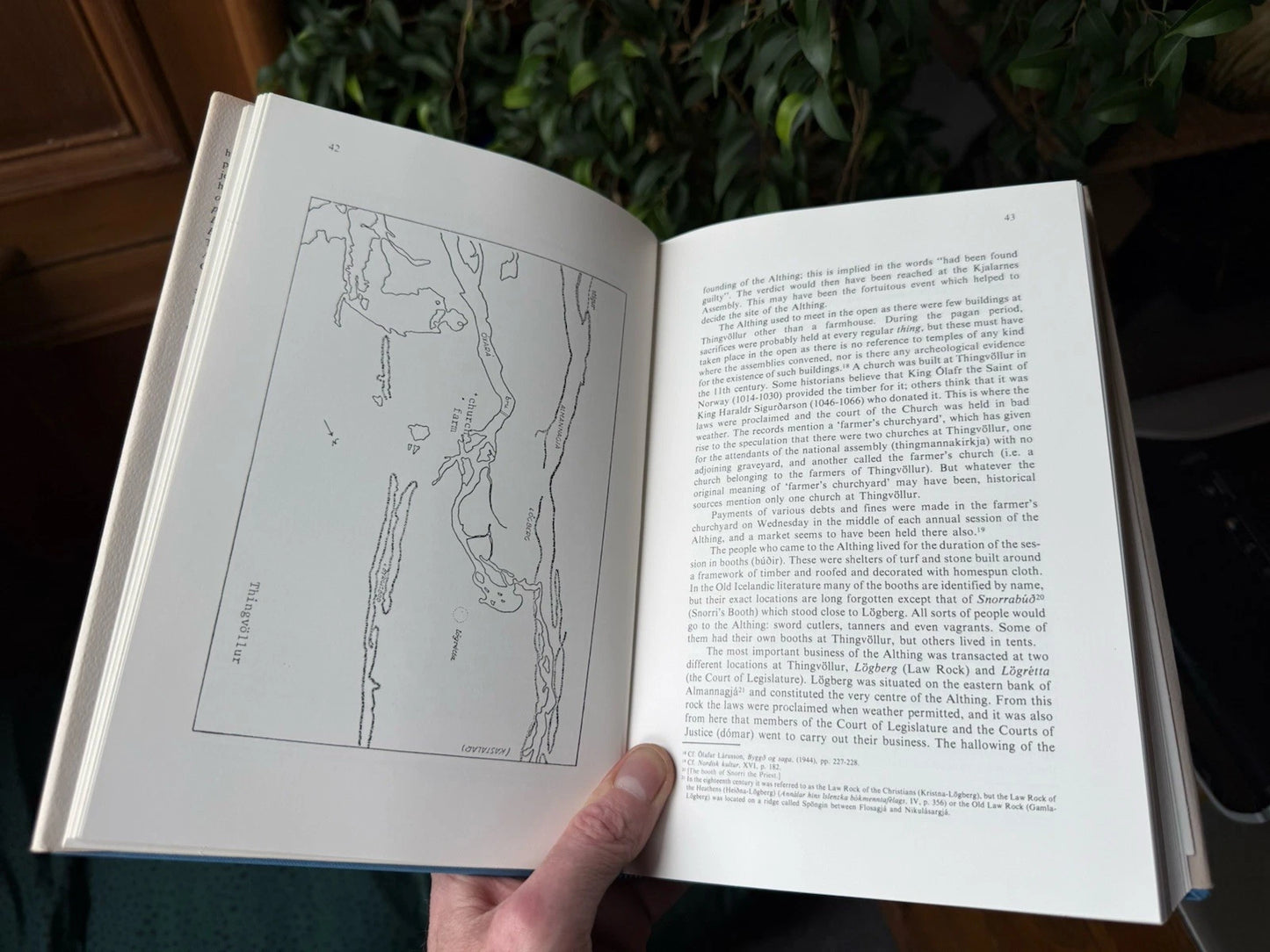 A History of the Old Icelandic Commonwealth : Islendinga Saga : Johannesson
