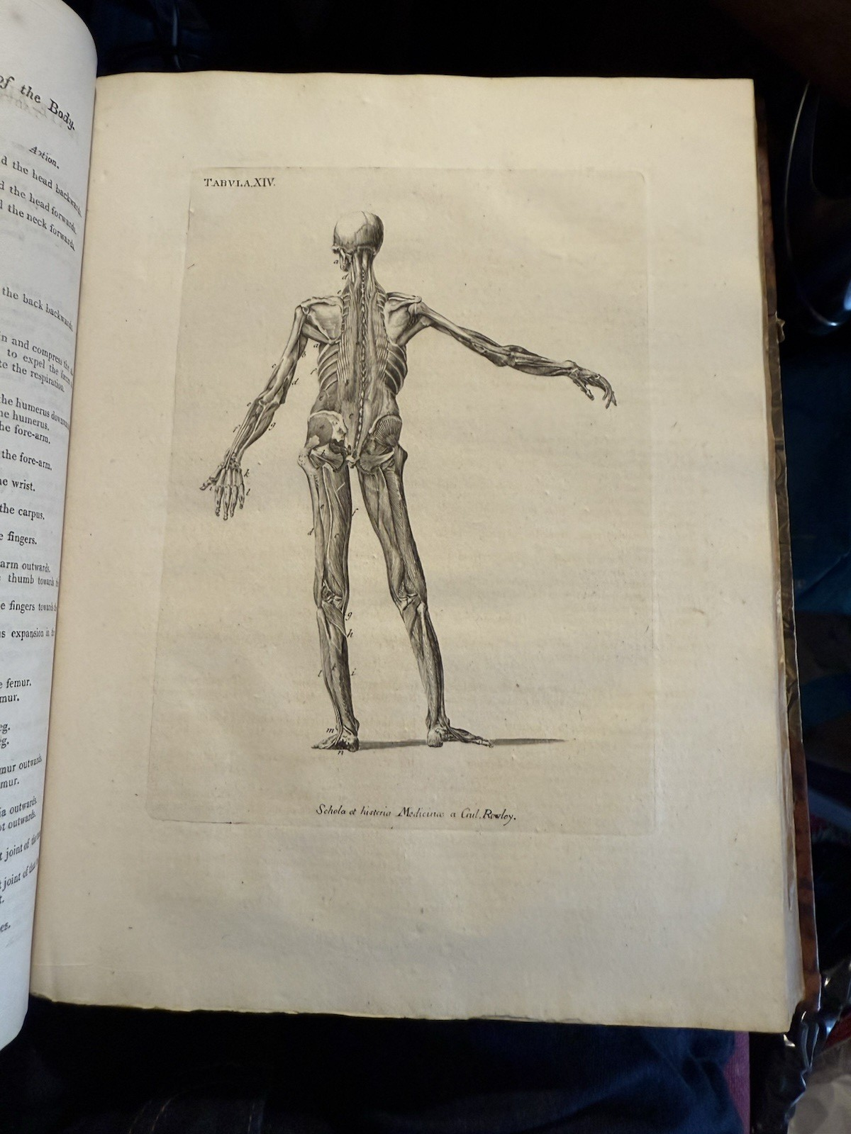 1803 Schola Medicinae; New Universal History and School of Medicine : Rowley