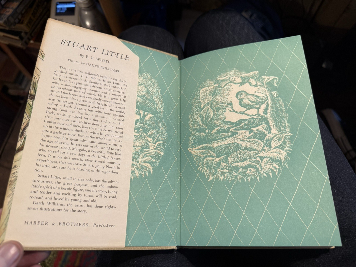 Stuart Little : E.B. White : 1945 Hardback Book : Children's Classic