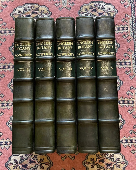 1790 James Sowerby : English Botany (5 Vols) 360 Hand-Coloured Plates : Flowers