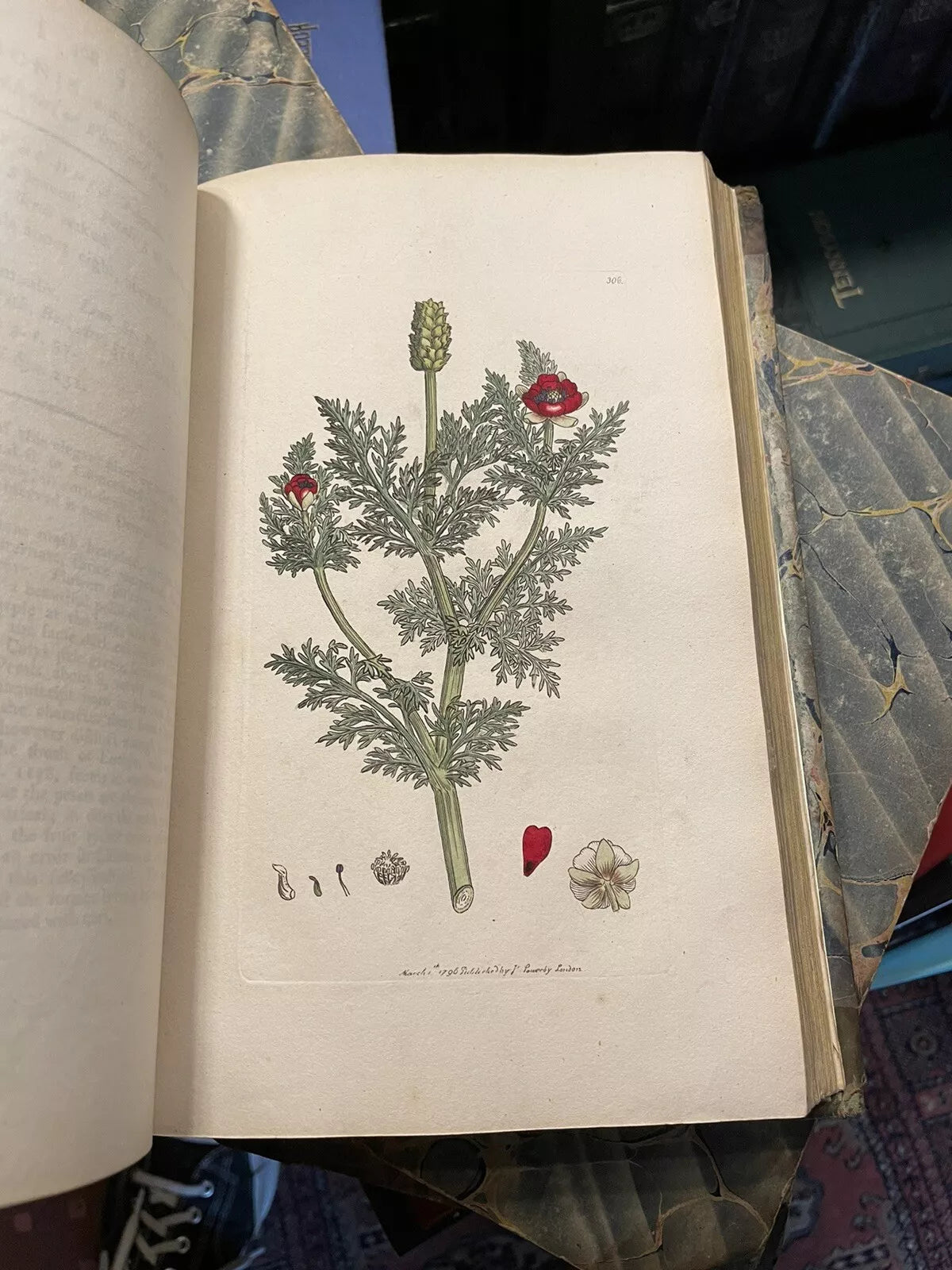 1790 James Sowerby : English Botany (5 Vols) 360 Hand-Coloured Plates : Flowers