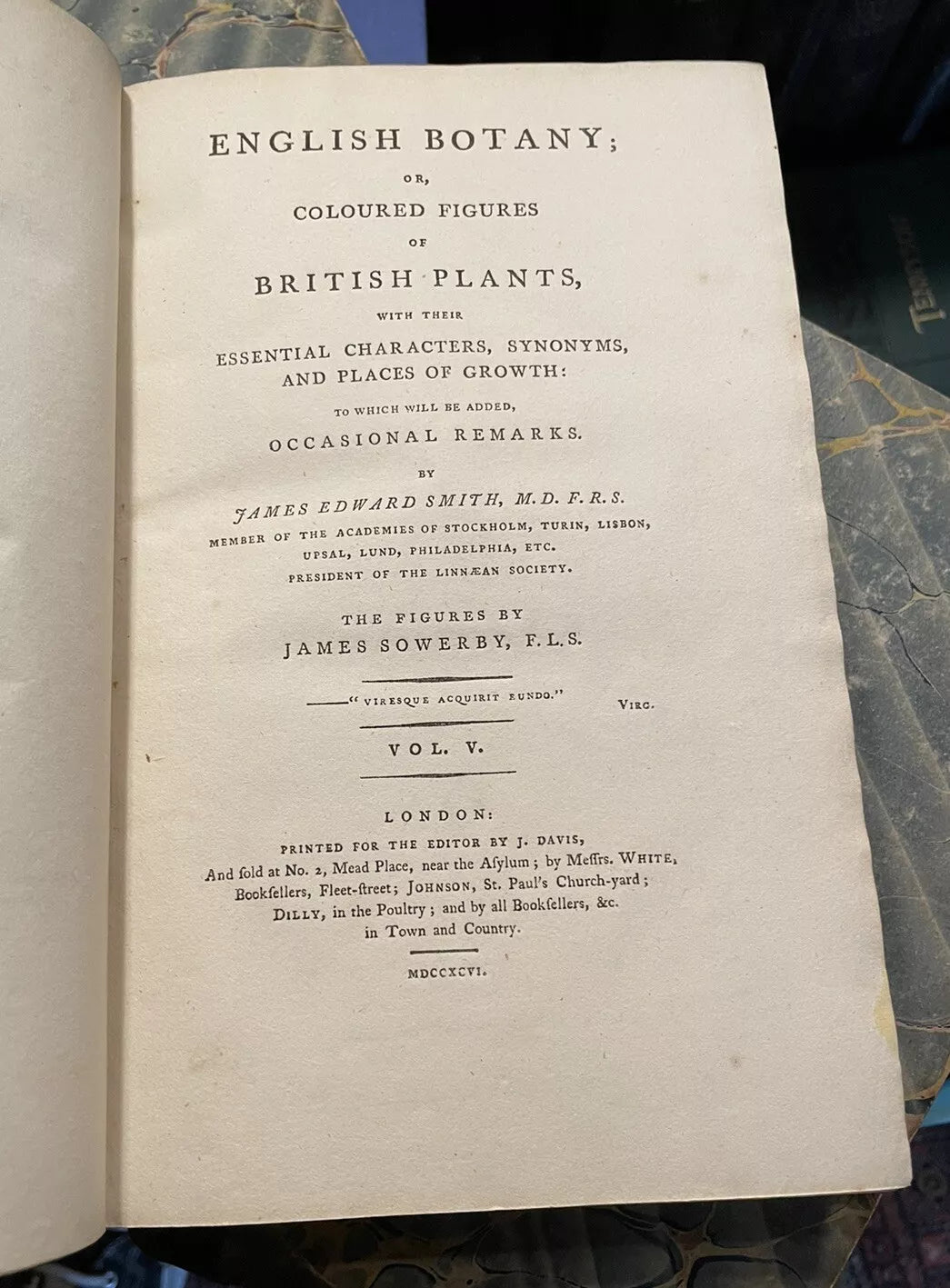 1790 James Sowerby : English Botany (5 Vols) 360 Hand-Coloured Plates : Flowers