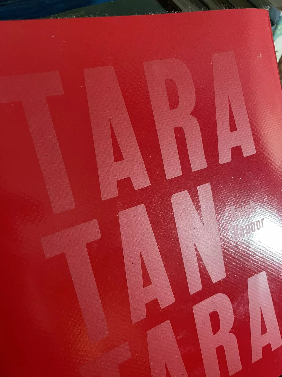 Anish Kapoor : Taratantara : Contemporary Art Installation Baltic Centre 2000