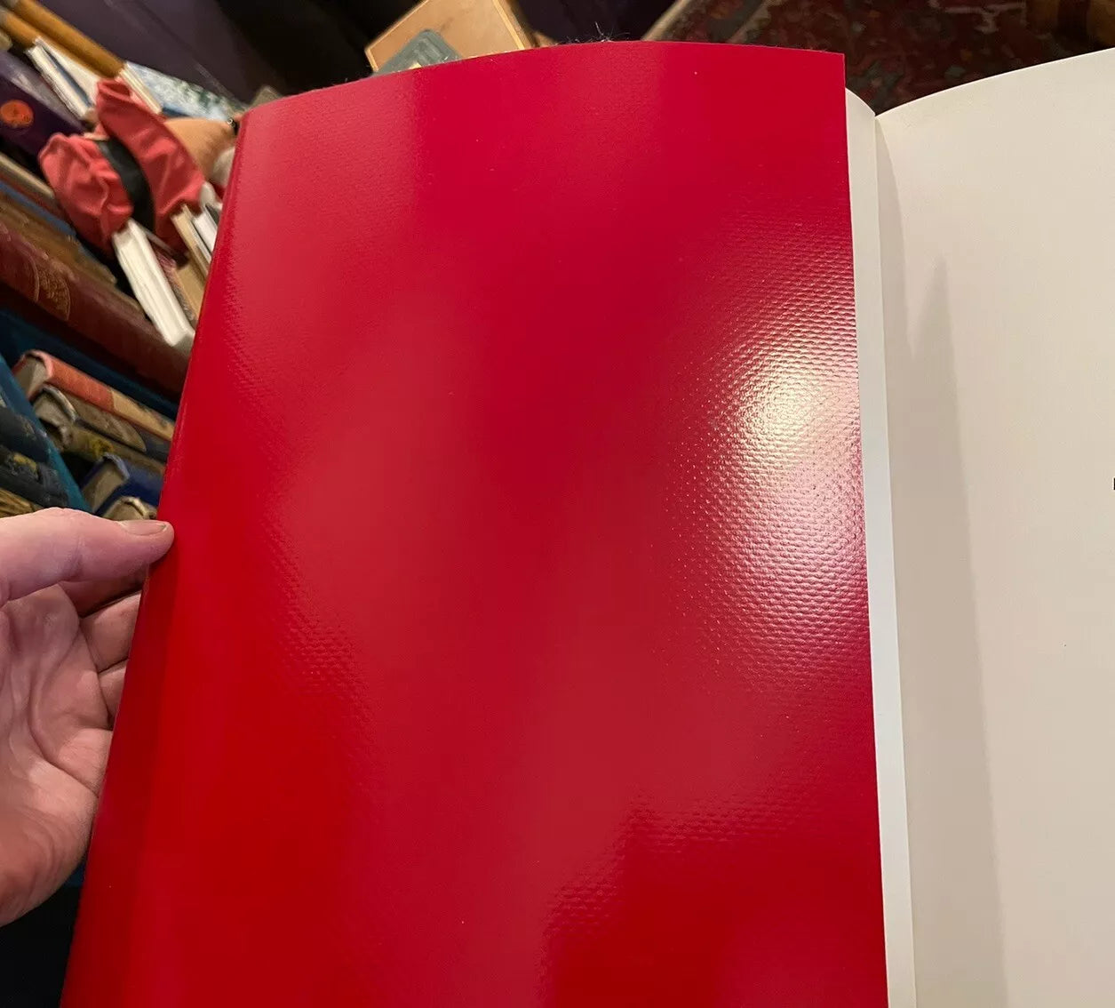 Anish Kapoor : Taratantara : Contemporary Art Installation Baltic Centre 2000