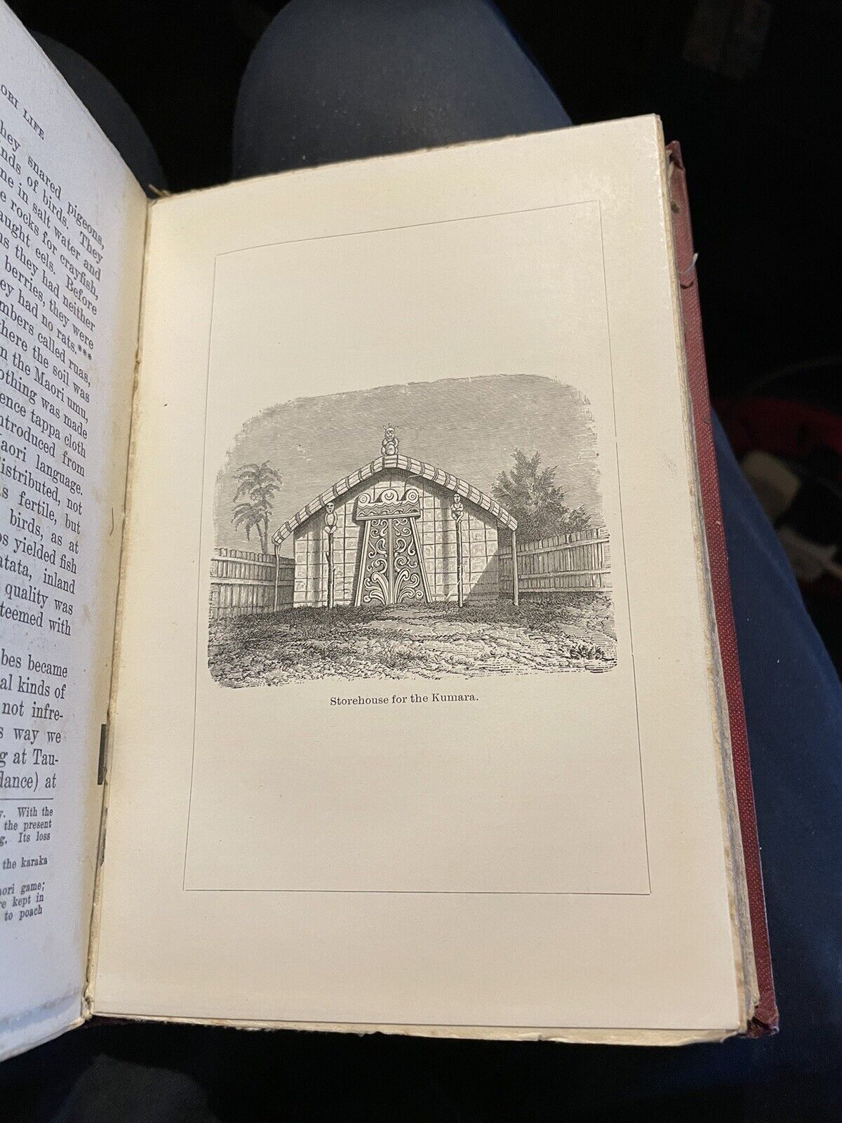 1907 The Story of Te Waharoa : New Zealand Ancient Maori History : Wilson