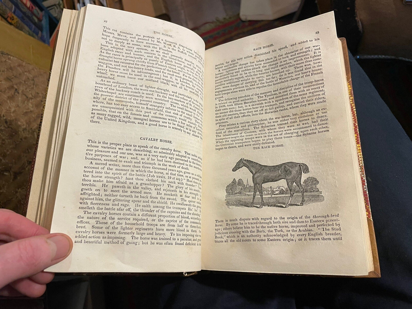 1831 The Horse with a Treatise on Draught : W. Youatt : Illustrated