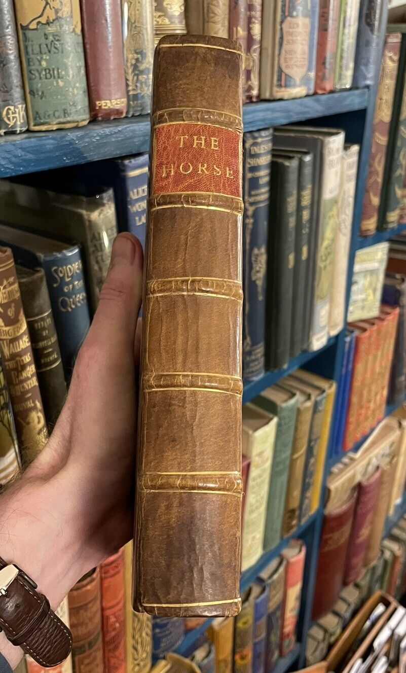 1831 The Horse with a Treatise on Draught : W. Youatt : Illustrated