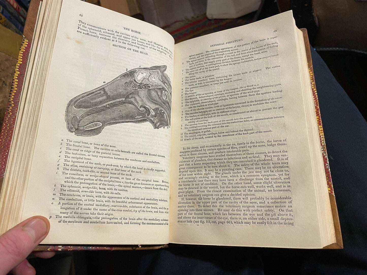 1831 The Horse with a Treatise on Draught : W. Youatt : Illustrated