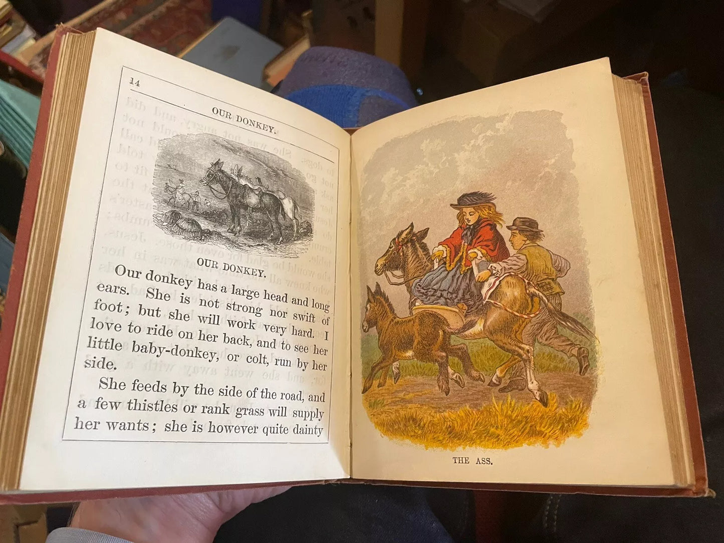 1850 Victorian Childrens Book : My Pretty Story Book : Mrs. Herbert Strang