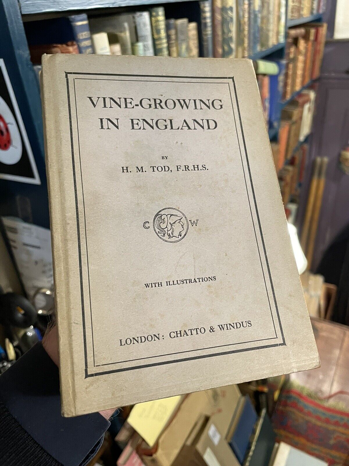 Vine-Growing in England : H. M. Tod : Wine : Vines on Walls : Published 1911