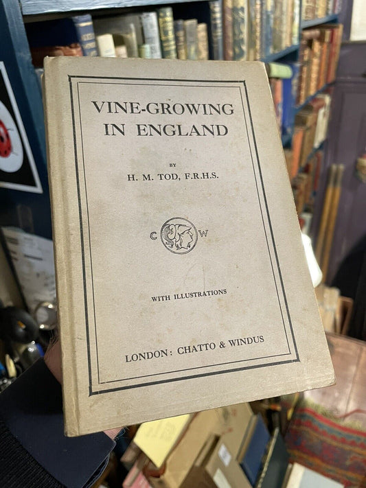 Vine-Growing in England : H. M. Tod : Wine : Vines on Walls : Published 1911