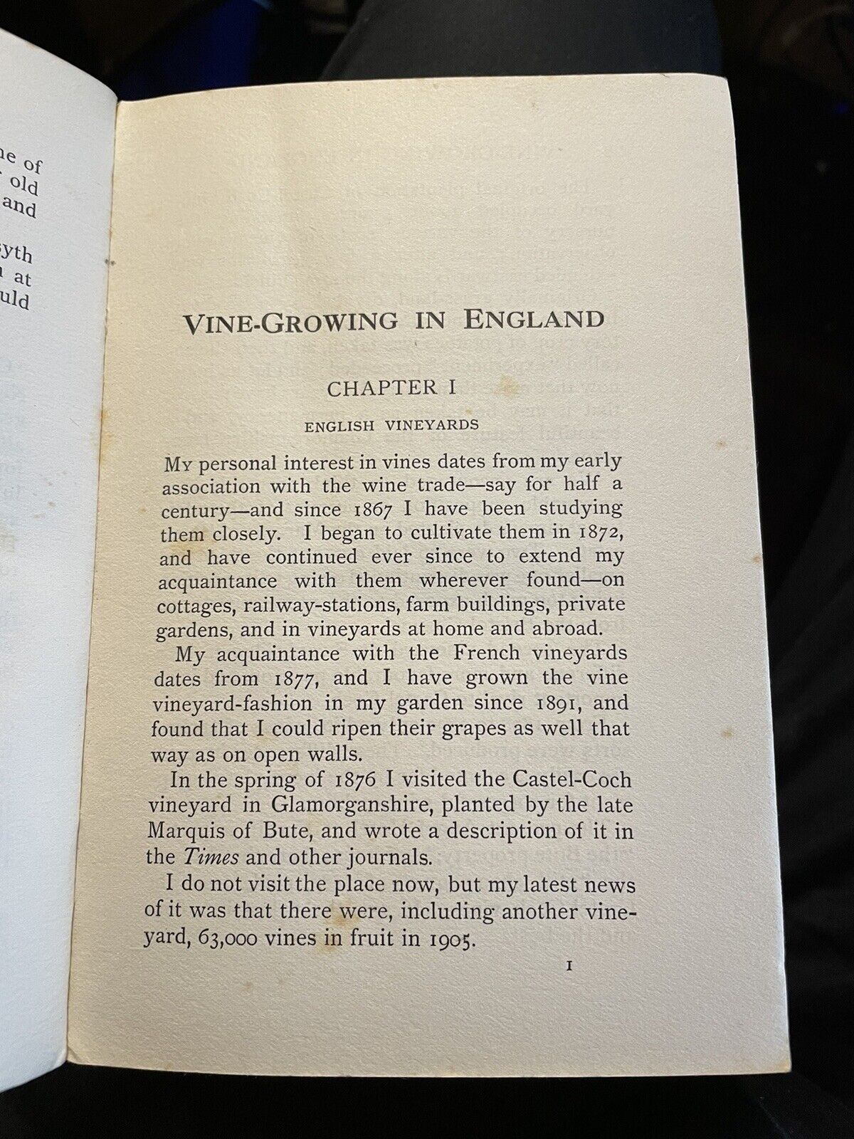 Vine-Growing in England : H. M. Tod : Wine : Vines on Walls : Published 1911