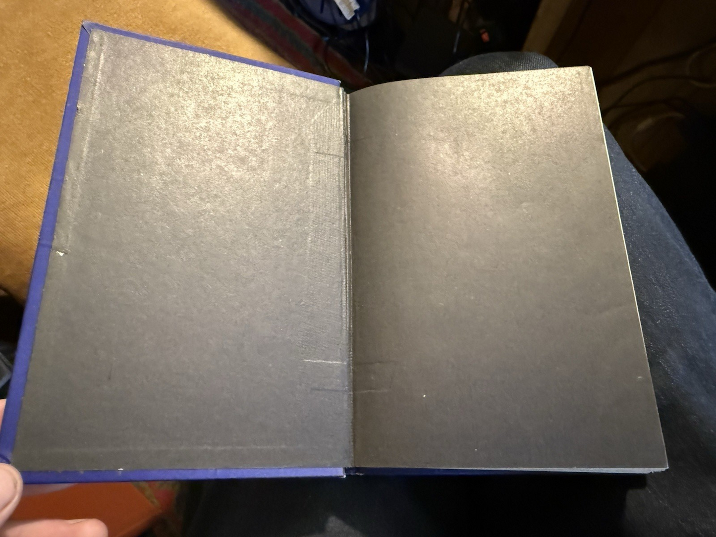 The Violet Fairy Book : Andrew Lang : Illustrated : First Edition 1901