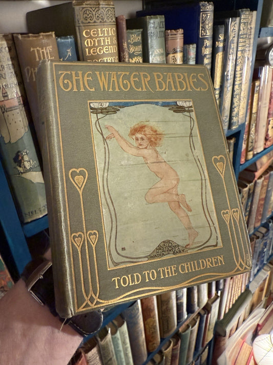 1905 The Water Babies : Charles Kingsley : Katharine Cameron : Illustrated