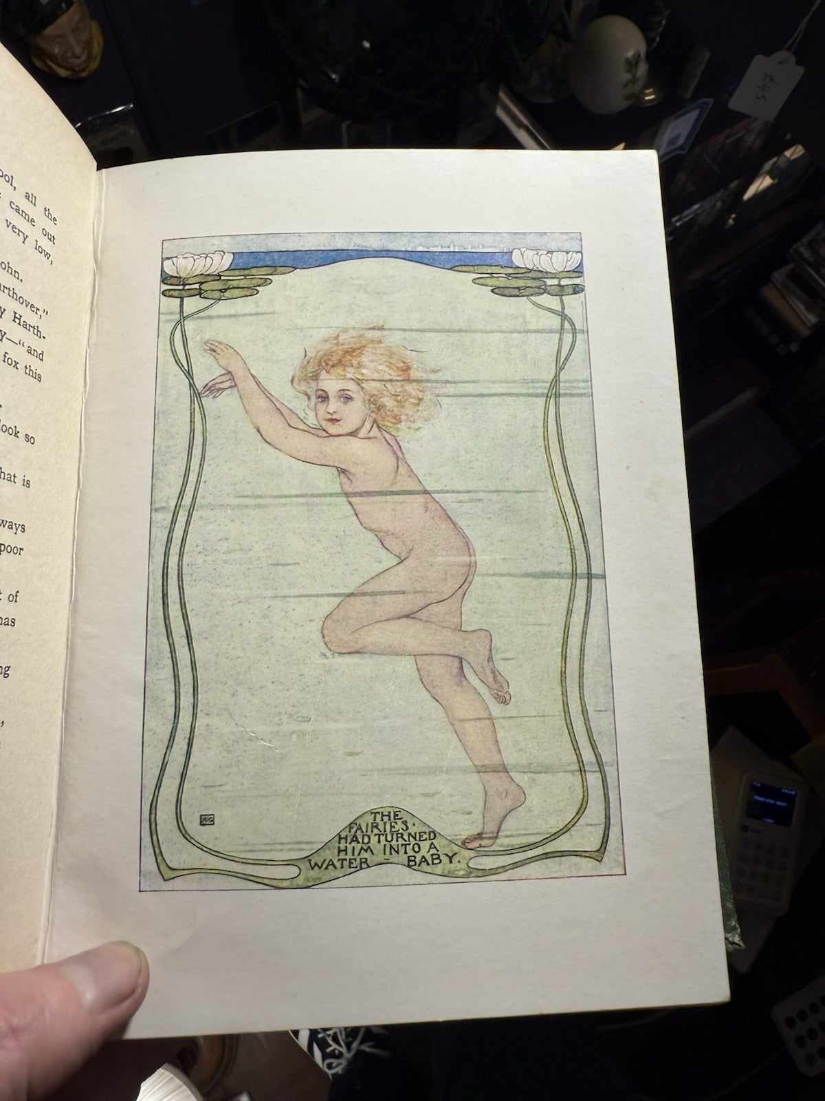 c1910 The Water Babies : A Fairytale for a Land-Baby : Charles Kingsley