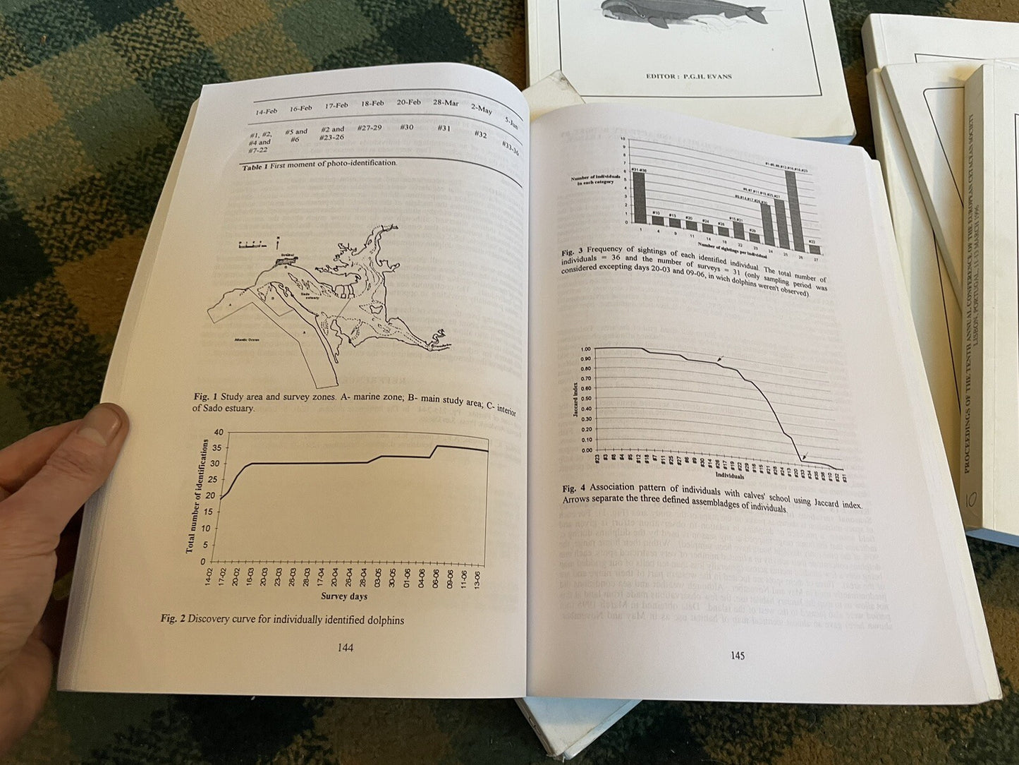European Research on Cetaceans (9 Volumes) Whales Dolphins Porpoises