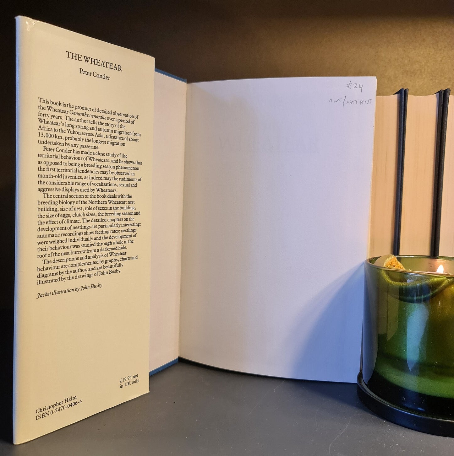 The Wheatear, P. Conder: 1st Edition: Hardback: Ornithology: Bird Behaviour