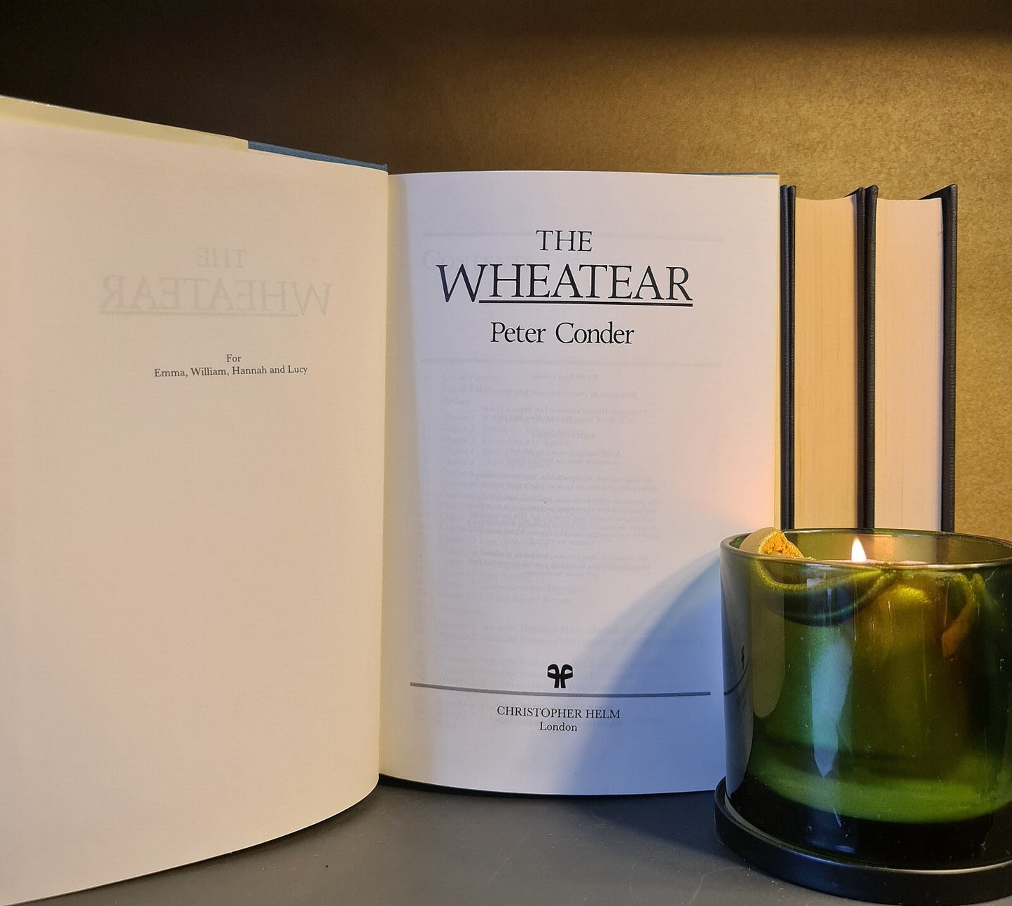 The Wheatear, P. Conder: 1st Edition: Hardback: Ornithology: Bird Behaviour
